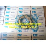 BẠC ĐẠN PBC - 6009ZZ